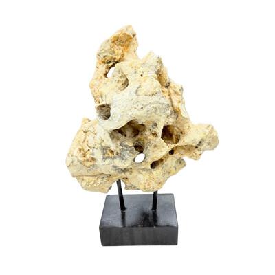 Tribal Indonesian Coral Stone On Teak Stand For Sale - Image 3 of 5