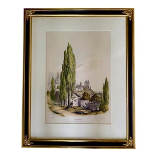 George Barnard Hand-Colored Lithograph "The Poplar": Studies From Trees in Nature, 1868 For Sale