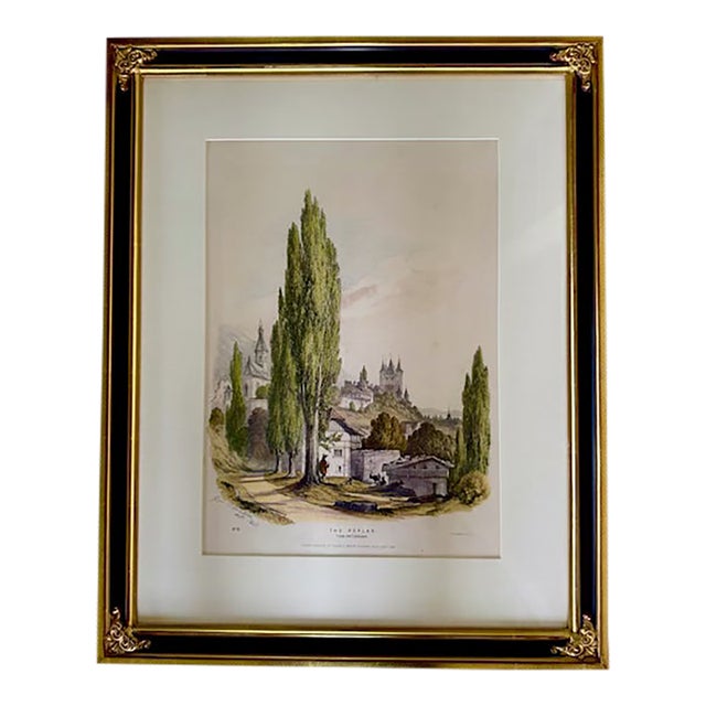 George Barnard Hand-Colored Lithograph "The Poplar": Studies From Trees in Nature, 1868 For Sale