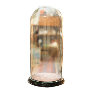 1880s Victorian Tall Antique Specimen Dome, English, Glass, Taxidermy, Display Case For Sale