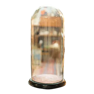 1880s Victorian Tall Antique Specimen Dome, English, Glass, Taxidermy, Display Case