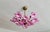 Glass 1980s Italian Style Pink Floral Crystal Flush Mount Chandelier, 3-Light For Sale - Image 7 of 17