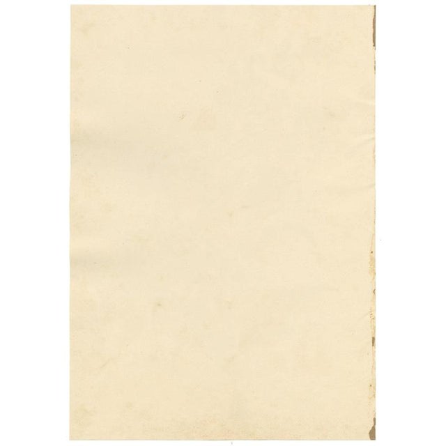 19th Century E.B.R., Cardinal (Lobelia Cardinalis) & Tuberose Flower, 1800s, Paper For Sale - Image 5 of 7