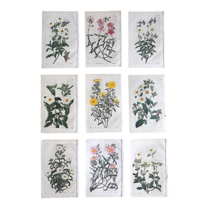 Authentic Antique Early 19th Century Hand Colored Copperplate Botanical Engravings - Set of 9