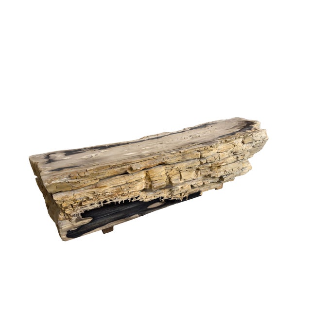 Contemporary Petrified Wood Bench by Xyleia Petrified Wood For Sale - Image 3 of 6
