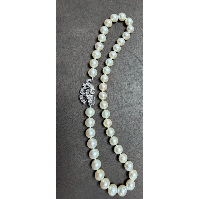 Modern 8mm Akoya Japanese Pearl Single Strand Choker Necklace, 18k White Gold & Diamond For Sale - Image 3 of 8