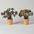 French Pair Early 20th C French Metal Tole Flowers in Terracotta Pots For Sale - Image 3 of 12