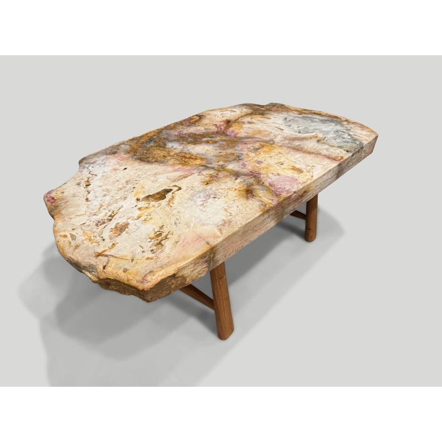 Andrianna Shamaris Beautiful Rare Petrified Wood Coffee Table For Sale - Image 12 of 18