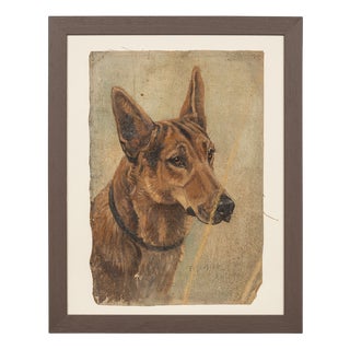 Frederick Thomas Daws, Antique German Shepherd, Oil on Canvas, 1926, Framed For Sale