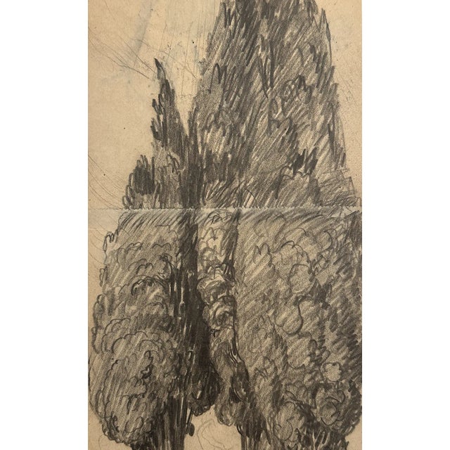 Illustration Early 1900's Antique French Charcoal Drawing of Cypress on Paper With Mat, Signed by French Artist Maurice De Lambert For Sale - Image 3 of 5