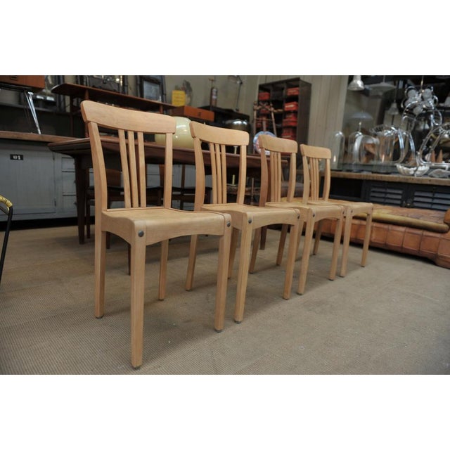 Wood Stella Bistro Chair in Beech, 1950s For Sale - Image 7 of 14