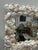 2020s Small Shell Frame Mirror For Sale - Image 5 of 9