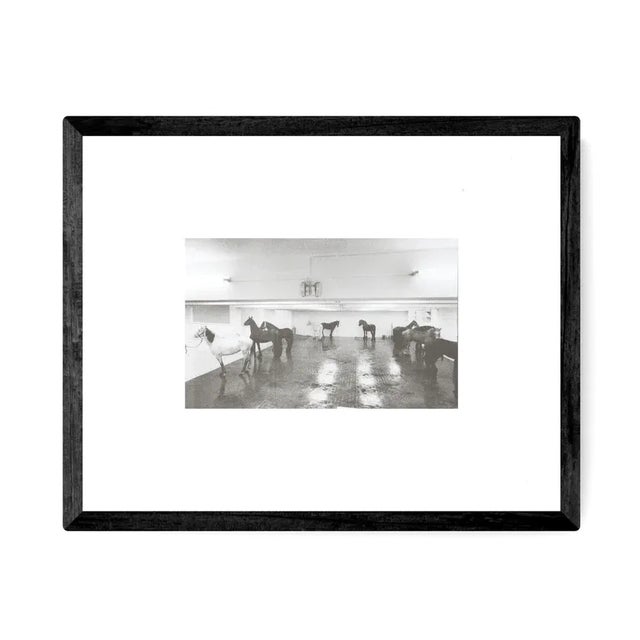 Artist: Claudio Abate Title: Jannis Kounellis. Cavalli 1969 Year: 2018 Signed: No Medium: Offset Lithograph Paper Size: 5...
