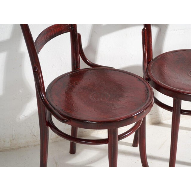 Antique Bentwood Chairs, Central Europe, 1900s, Set of 4 For Sale - Image 6 of 14