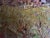 Oil Painting Warm Evening Kalenyuk Alex For Sale - Image 6 of 12