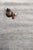 Transitional Pasargad Home Transitional Slateblue Area Rug, 9' 1'' X 11'10'' For Sale - Image 3 of 6