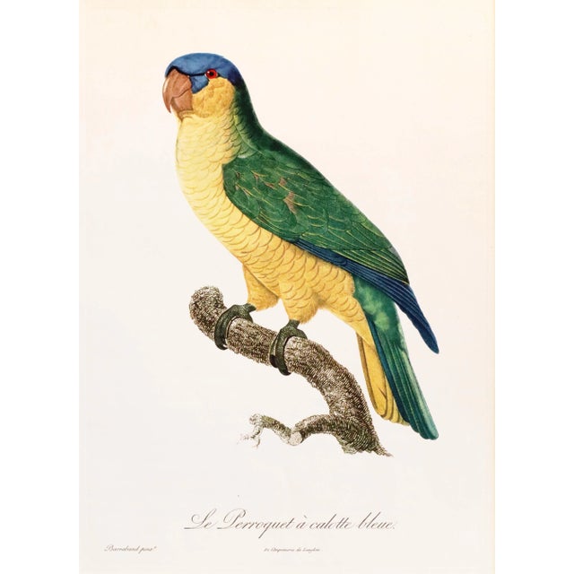 Date: 1960s Size: 14.5 x 10.5 inches interior, matted to 20 x 16 inches Artist: Barraband, Jacques About the Poster:...