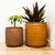 1970s Large Stoneware Thumbprint Planter by David Cressey & Robert Maxwell for Earthgender, Attributed For Sale - Image 15 of 15