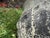 Vintage Volcanic Glaze Terracotta Garden Planter For Sale - Image 9 of 10
