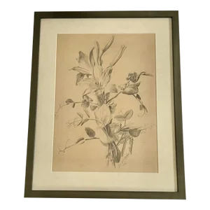 Oskar Schroder, 1877-1955 - Fine Antique Botanical Drawing Lilies, Poppies, Wildflowers, Pencil Signed