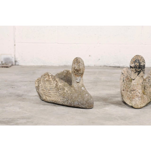Vintage Pair of Stone Swan Planters From England For Sale - Image 4 of 11