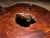 Monumental “Denúncia” Table Crafted From Reclaimed Brazilian Wood, 1970s For Sale - Image 11 of 16