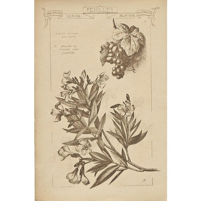 1887-Set of 4-French Antique Architectural Design Engravings-Leaf Designs For Sale - Image 4 of 5