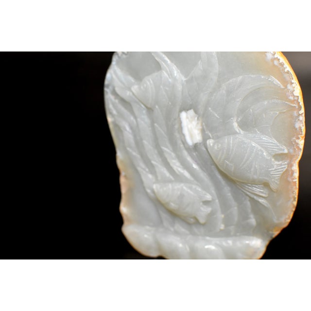 Stone Agate Fish For Sale - Image 7 of 11