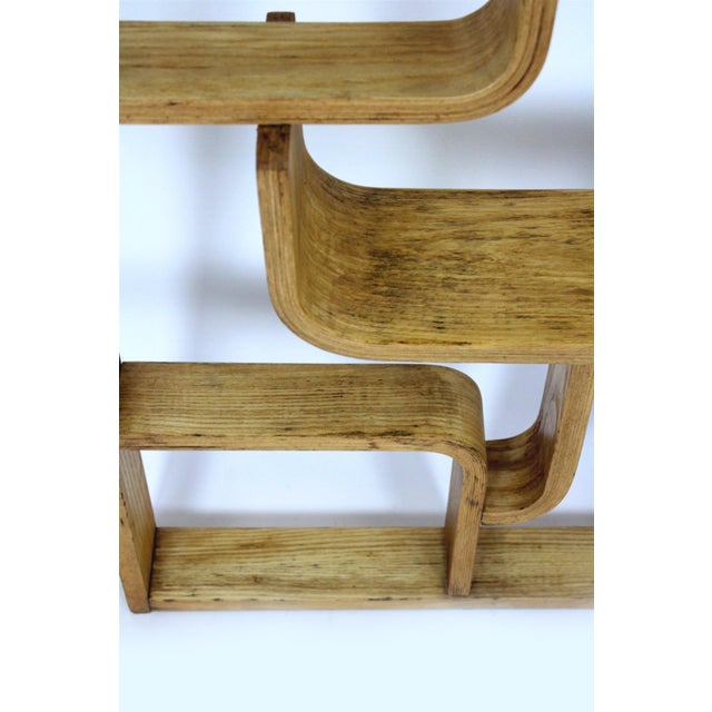 Mid-Century Modern Room Divider by Ludvik Volak for Drevopodnik Holesov, 1960s For Sale - Image 17 of 18