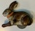 Brown Lithographed Tinplate Clockwork Bunny Rabbit or Hare by the Automatic Toy Co. Staten Island, New York Circa 1930 For Sale - Image 8 of 18