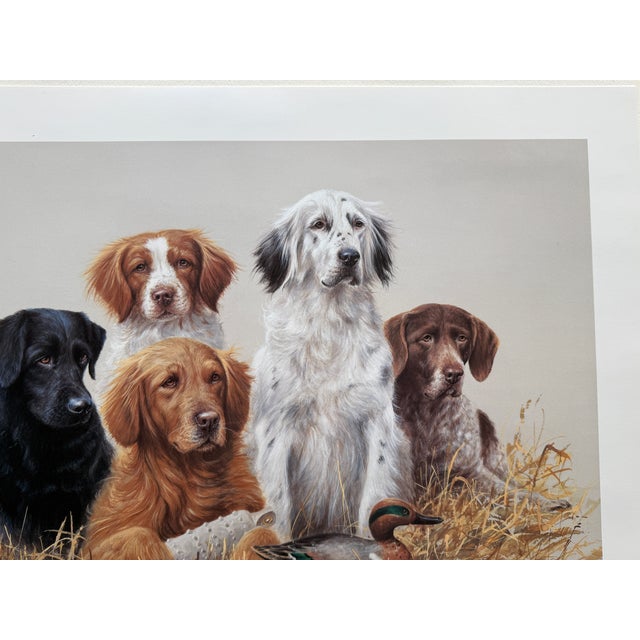 1980s Jim Killen Sporting Dog Art Great Retrievers Labs (29.5"x20") "Class Reunion" Open Edition For Sale - Image 4 of 7
