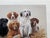 1980s Jim Killen Sporting Dog Art Great Retrievers Labs (29.5"x20") "Class Reunion" Open Edition For Sale - Image 4 of 7