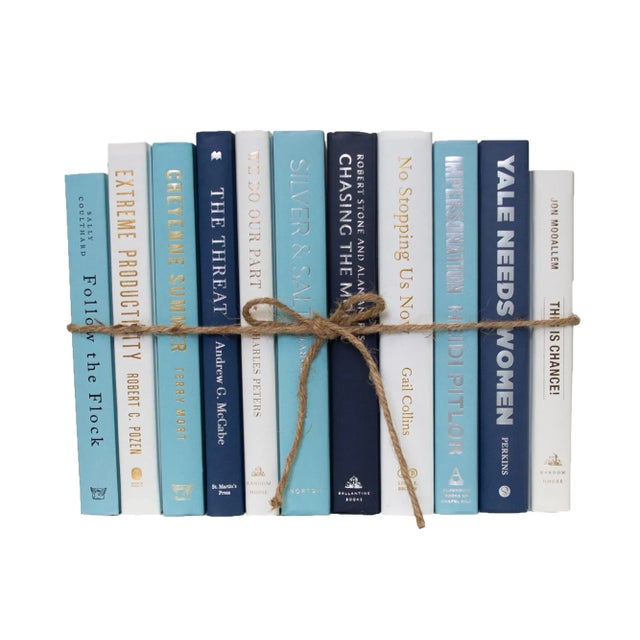 Booth & Williams Decorative Books - Blue Oasis Book Bundle - 1 Foot of Blue Books For Sale - Image 4 of 4