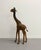 Mid 20th Century Vintage Hand Painted Folk Art Giraffe Sculpture With Leather Ears For Sale - Image 5 of 7