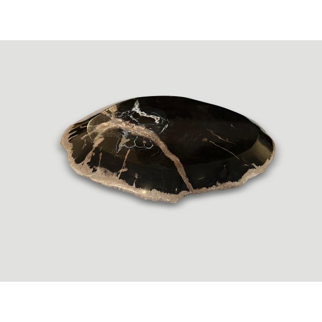Andrianna Shamaris Petrified Wood Shallow Dish For Sale - Image 4 of 6