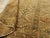 Galerie Shabab Collection Early 20th Century Caucasian Shirvan Throw Rug For Sale - Image 9 of 9