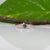 Metal Alexandrite Ring With Earth-Mined Diamond Accents: Solid 14k Gold, Round, Size 6.75 For Sale - Image 7 of 11