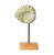 Stone Mantelliceras Ammonite Fossil on Wooden Display Stand For Sale - Image 7 of 7