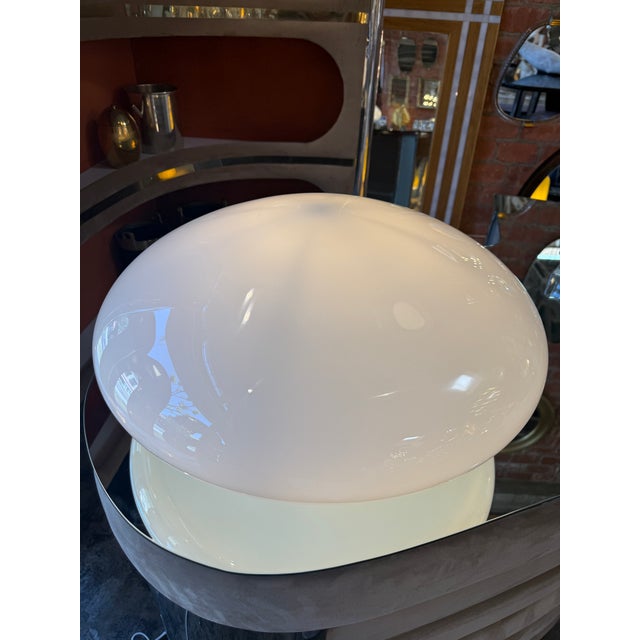 Antique White "Magnolia" Opaline Lamp by Sergio Mazza for Quattrifoglio, 1970s For Sale - Image 8 of 8
