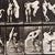 Eadweard Muybridge, Black and White Women in Motion Study, 1982, Photograph, Framed For Sale - Image 6 of 9