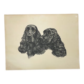1970s Vintage Cocker Spaniel Dogs Print For Sale