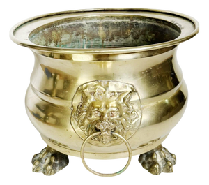 Champagne Cooler Plant Stand in Brass, France, 1950