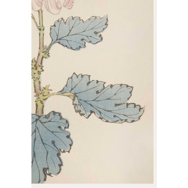 Not Yet Made - Made To Order Blush Mum by Hasegawa, Vintage Japanese Botanical Art Print, 16" X 24" For Sale - Image 5 of 8