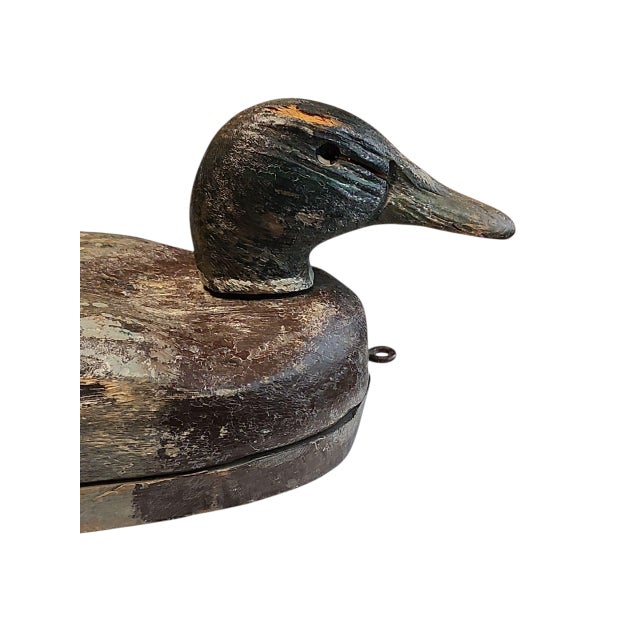 Super antique, likely 19th century mallard decoy with swivel head, manner of Pattersons, two section body.Measures 14.5 x...