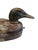 Super antique, likely 19th century mallard decoy with swivel head, manner of Pattersons, two section body.Measures 14.5 x...