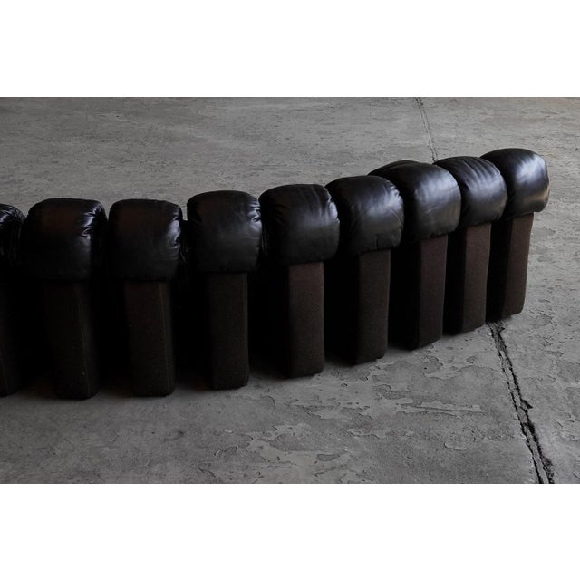 Ds600 Snake Sofa in Black Leather by Ueli Berger for de Sede, Switzerland, 1970s, Set of 19 For Sale - Image 6 of 8