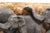 Elephant Family Carved on Wood Plaque With Formica Base For Sale - Image 11 of 11