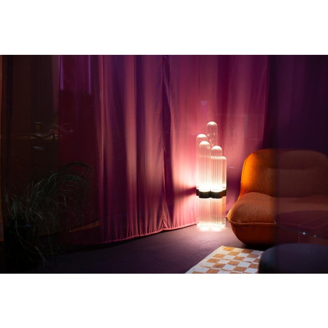 Contemporary Big Cactus Floor Lamp in Transparent with Brass Centrepiece by Mickael Koska for Pulpo For Sale - Image 3 of 4