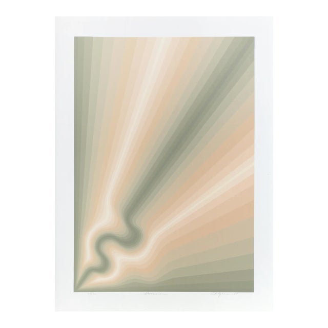 Precession, Roy Ahlgren Screen Print For Sale