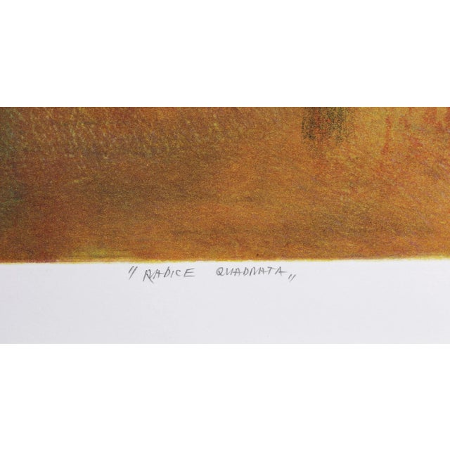 Abstract Marco Zambrelli, Square Root, Aquatint For Sale - Image 3 of 7